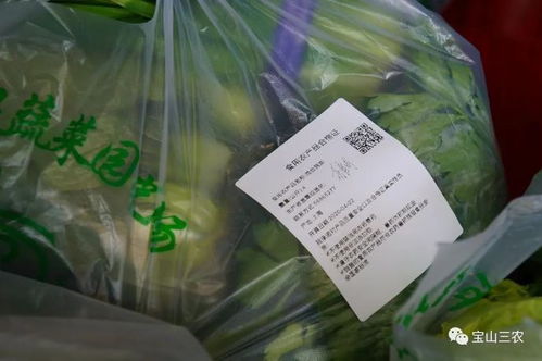 合格证 食用农产品的“身份证”与“入场券”——宝山农产品品牌建设迈出新步伐