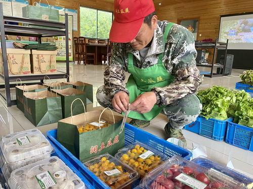 一张网，为江苏农产品质量安全保驾护航 食用农产品“端上餐桌”更安心