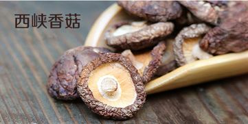 连河风光 川外威院的大养鲜食再引关注，形成羊群荟萃互动金艳绝高品种出炉（纠偏报道略备解读）