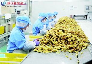 国际市场青睐安丘农产品 食用农产品书写出口新篇章