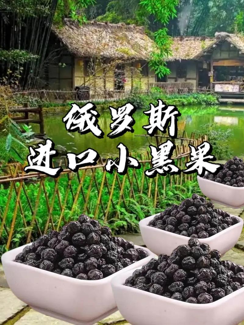 中俄边境的宝藏 俄罗斯进口小黑果，100克即食天然健康之选